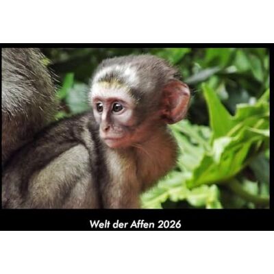 Becker Welt der Affen 2026 Fotokalender DIN A3: Monatskalender mit Bild-Motiven von Haustieren, Bauernhof, wilden Tieren und Raubtieren Becker Welt der Affen 2026 Fotokalender DIN A3: Monatskalender mit Bild-Motiven von Haustieren, Bauernhof, wilden Tieren und Raubtieren