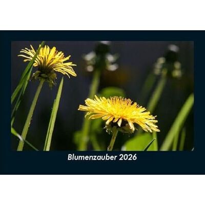 Becker Blumenzauber 2026 Fotokalender DIN A5: Monatskalender mit Bild-Motiven aus Fauna und Flora, Natur, Blumen und Pflanzen Becker Blumenzauber 2026 Fotokalender DIN A5: Monatskalender mit Bild-Motiven aus Fauna und Flora, Natur, Blumen und Pflanzen