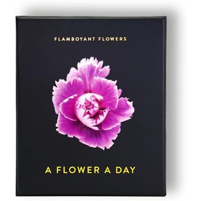 Jonkmanns B Flamboyant Flowers: A Flower A Day Jonkmanns B Flamboyant Flowers: A Flower A Day