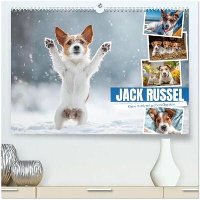 Fotografie, Mb JACK RUSSEL Kleine Hunde mit großem Charakter (hochwertiger Premium Wandkalender 2026 DIN A2 quer), Kunstdruck in Hochglanz: Charmanter ... und Haustierfreunde das ganze Jahr begleiten Fotografie, Mb JACK RUSSEL Kleine Hunde mit großem Charakter (hochwertiger Premium Wandkalender 2026 DIN A2 quer), Kunstdruck in Hochglanz: Charmanter ... und Haustierfreunde das ganze Jahr begleiten