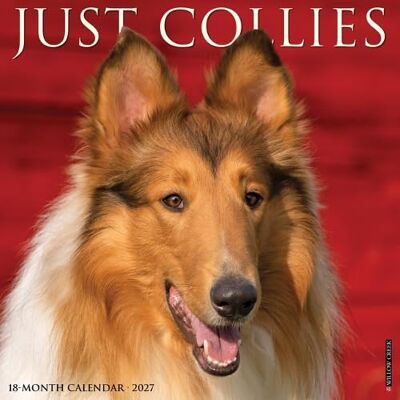 Willow Creek Press Collies 2027 Wall Willow Creek Press Collies 2027 Wall