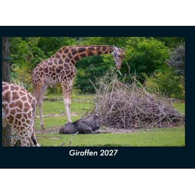 Schmitt, Tobias Giraffen 2027 Fotokalender DIN A5: Monatskalender mit Bild-Motiven von Haustieren, Bauernhof, wilden Tieren und Raubtieren Schmitt, Tobias Giraffen 2027 Fotokalender DIN A5: Monatskalender mit Bild-Motiven von Haustieren, Bauernhof, wilden Tieren und Raubtieren