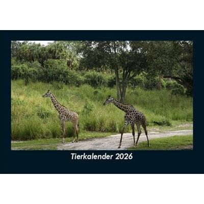 Becker Tierkalender 2026 Fotokalender DIN A5: Monatskalender mit Bild-Motiven von Haustieren, Bauernhof, wilden Tieren und Raubtieren Becker Tierkalender 2026 Fotokalender DIN A5: Monatskalender mit Bild-Motiven von Haustieren, Bauernhof, wilden Tieren und Raubtieren