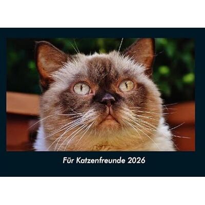 Becker Für Katzenfreunde 2026 Fotokalender DIN A4: Monatskalender mit Bild-Motiven von Haustieren, Bauernhof, wilden Tieren und Raubtieren Becker Für Katzenfreunde 2026 Fotokalender DIN A4: Monatskalender mit Bild-Motiven von Haustieren, Bauernhof, wilden Tieren und Raubtieren