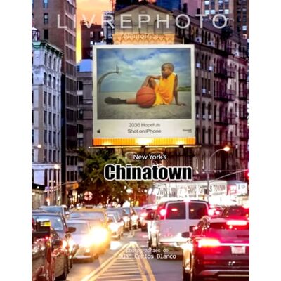 Blanco CHINATOWN: Dans le Lower Manhattan Blanco CHINATOWN: Dans le Lower Manhattan