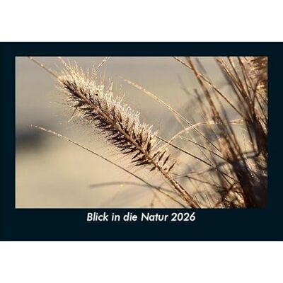 Becker Blick in die Natur 2026 Fotokalender DIN A5: Monatskalender mit Bild-Motiven aus Fauna und Flora, Natur, Blumen und Pflanzen Becker Blick in die Natur 2026 Fotokalender DIN A5: Monatskalender mit Bild-Motiven aus Fauna und Flora, Natur, Blumen und Pflanzen