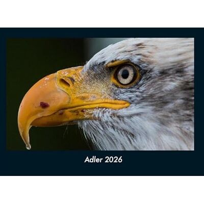 Becker Adler 2026 Fotokalender DIN A4: Monatskalender mit Bild-Motiven von Haustieren, Bauernhof, wilden Tieren und Raubtieren Becker Adler 2026 Fotokalender DIN A4: Monatskalender mit Bild-Motiven von Haustieren, Bauernhof, wilden Tieren und Raubtieren