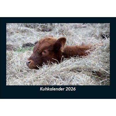 Becker Kuhkalender 2026 Fotokalender DIN A5: Monatskalender mit Bild-Motiven von Haustieren, Bauernhof, wilden Tieren und Raubtieren Becker Kuhkalender 2026 Fotokalender DIN A5: Monatskalender mit Bild-Motiven von Haustieren, Bauernhof, wilden Tieren und Raubtieren
