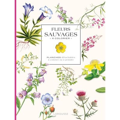 Larousse Fleurs sauvages à colorier: Planches détachables à colorier ou à peindre Larousse Fleurs sauvages à colorier: Planches détachables à colorier ou à peindre