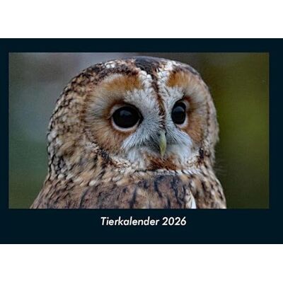 Becker Tierkalender 2026 Fotokalender DIN A4: Monatskalender mit Bild-Motiven von Haustieren, Bauernhof, wilden Tieren und Raubtieren Becker Tierkalender 2026 Fotokalender DIN A4: Monatskalender mit Bild-Motiven von Haustieren, Bauernhof, wilden Tieren und Raubtieren