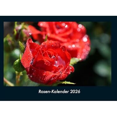 Becker Rosen-Kalender 2026 Fotokalender DIN A4: Monatskalender mit Bild-Motiven aus Fauna und Flora, Natur, Blumen und Pflanzen Becker Rosen-Kalender 2026 Fotokalender DIN A4: Monatskalender mit Bild-Motiven aus Fauna und Flora, Natur, Blumen und Pflanzen