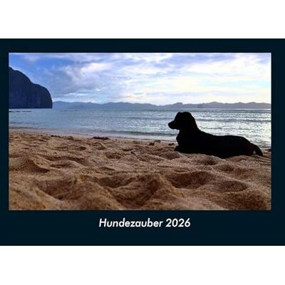 Becker Hundezauber 2026 Fotokalender DIN A4: Monatskalender mit Bild-Motiven von Haustieren, Bauernhof, wilden Tieren und Raubtieren Becker Hundezauber 2026 Fotokalender DIN A4: Monatskalender mit Bild-Motiven von Haustieren, Bauernhof, wilden Tieren und Raubtieren
