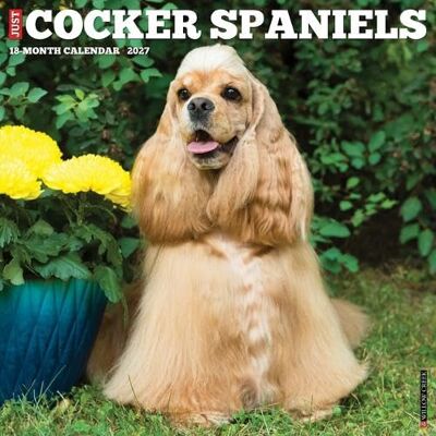 Willow Creek Press Cocker Spaniels 2027 Wall Willow Creek Press Cocker Spaniels 2027 Wall