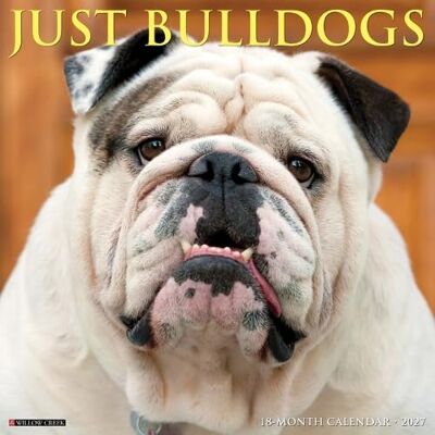 Willow Creek Press Bulldogs 2027 Wall Willow Creek Press Bulldogs 2027 Wall