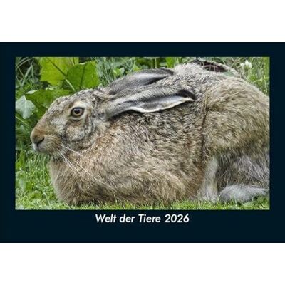 Becker Welt der Tiere 2026 Fotokalender DIN A5: Monatskalender mit Bild-Motiven von Haustieren, Bauernhof, wilden Tieren und Raubtieren Becker Welt der Tiere 2026 Fotokalender DIN A5: Monatskalender mit Bild-Motiven von Haustieren, Bauernhof, wilden Tieren und Raubtieren