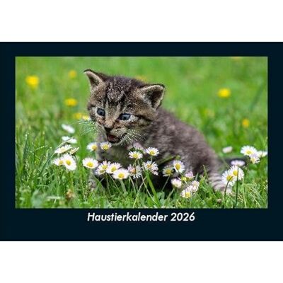 Becker Haustierkalender 2026 Fotokalender DIN A5: Monatskalender mit Bild-Motiven von Haustieren, Bauernhof, wilden Tieren und Raubtieren Becker Haustierkalender 2026 Fotokalender DIN A5: Monatskalender mit Bild-Motiven von Haustieren, Bauernhof, wilden Tieren und Raubtieren