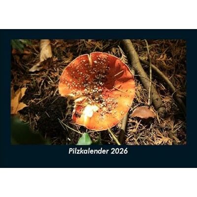 Becker Pilzkalender 2026 Fotokalender DIN A5: Monatskalender mit Bild-Motiven aus Fauna und Flora, Natur, Blumen und Pflanzen Becker Pilzkalender 2026 Fotokalender DIN A5: Monatskalender mit Bild-Motiven aus Fauna und Flora, Natur, Blumen und Pflanzen