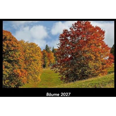 Becker Bäume 2027 Fotokalender DIN A3: Monatskalender mit Bild-Motiven aus Orten und Städten, Ländern und Kontinenten Becker Bäume 2027 Fotokalender DIN A3: Monatskalender mit Bild-Motiven aus Orten und Städten, Ländern und Kontinenten