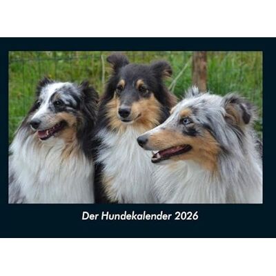 Becker Der Hundekalender 2026 Fotokalender DIN A4: Monatskalender mit Bild-Motiven von Haustieren, Bauernhof, wilden Tieren und Raubtieren Becker Der Hundekalender 2026 Fotokalender DIN A4: Monatskalender mit Bild-Motiven von Haustieren, Bauernhof, wilden Tieren und Raubtieren