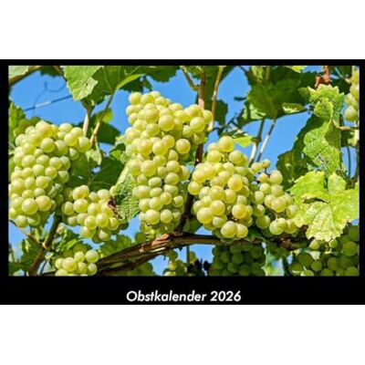 Becker Obstkalender 2026 Fotokalender DIN A3: Monatskalender mit Bild-Motiven von Obst und Gemüse, Ernährung und Essen Becker Obstkalender 2026 Fotokalender DIN A3: Monatskalender mit Bild-Motiven von Obst und Gemüse, Ernährung und Essen