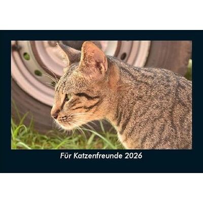 Becker Für Katzenfreunde 2026 Fotokalender DIN A5: Monatskalender mit Bild-Motiven von Haustieren, Bauernhof, wilden Tieren und Raubtieren Becker Für Katzenfreunde 2026 Fotokalender DIN A5: Monatskalender mit Bild-Motiven von Haustieren, Bauernhof, wilden Tieren und Raubtieren