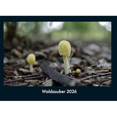 Becker Waldzauber 2026 Fotokalender DIN A4: Monatskalender mit Bild-Motiven aus Fauna und Flora, Natur, Blumen und Pflanzen Becker Waldzauber 2026 Fotokalender DIN A4: Monatskalender mit Bild-Motiven aus Fauna und Flora, Natur, Blumen und Pflanzen