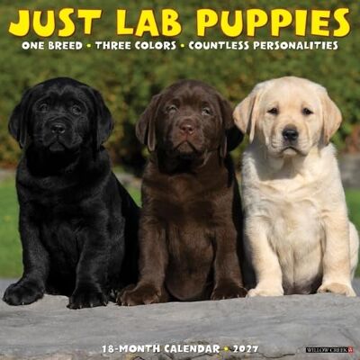 Willow Creek Press Lab Puppies 2027 Wall Willow Creek Press Lab Puppies 2027 Wall
