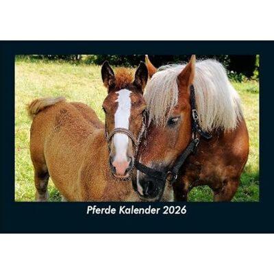Becker Pferde Kalender 2026 Fotokalender DIN A5: Monatskalender mit Bild-Motiven von Haustieren, Bauernhof, wilden Tieren und Raubtieren Becker Pferde Kalender 2026 Fotokalender DIN A5: Monatskalender mit Bild-Motiven von Haustieren, Bauernhof, wilden Tieren und Raubtieren
