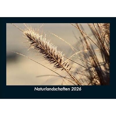 Becker Naturlandschaften 2026 Fotokalender DIN A5: Monatskalender mit Bild-Motiven aus Fauna und Flora, Natur, Blumen und Pflanzen Becker Naturlandschaften 2026 Fotokalender DIN A5: Monatskalender mit Bild-Motiven aus Fauna und Flora, Natur, Blumen und Pflanzen