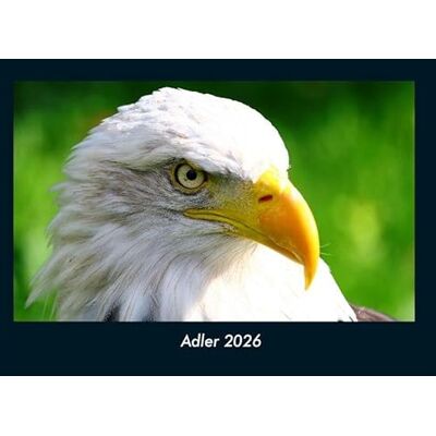 Becker Adler 2026 Fotokalender DIN A4: Monatskalender mit Bild-Motiven von Haustieren, Bauernhof, wilden Tieren und Raubtieren Becker Adler 2026 Fotokalender DIN A4: Monatskalender mit Bild-Motiven von Haustieren, Bauernhof, wilden Tieren und Raubtieren