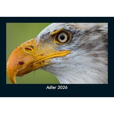 Becker Adler 2026 Fotokalender DIN A5: Monatskalender mit Bild-Motiven von Haustieren, Bauernhof, wilden Tieren und Raubtieren Becker Adler 2026 Fotokalender DIN A5: Monatskalender mit Bild-Motiven von Haustieren, Bauernhof, wilden Tieren und Raubtieren