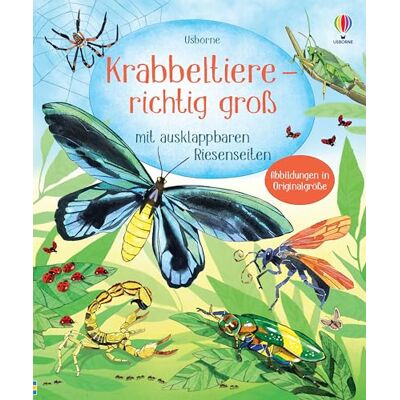 Usborne Krabbeltiere richtig groß: mit ausklappbaren Riesenseiten Sachbilderbuch zum Thema Insekten für Kinder ab 4 Jahren Usborne Krabbeltiere richtig groß: mit ausklappbaren Riesenseiten Sachbilderbuch zum Thema Insekten für Kinder ab 4 Jahren