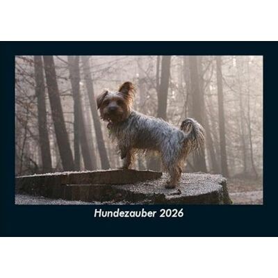 Becker Hundezauber 2026 Fotokalender DIN A5: Monatskalender mit Bild-Motiven von Haustieren, Bauernhof, wilden Tieren und Raubtieren Becker Hundezauber 2026 Fotokalender DIN A5: Monatskalender mit Bild-Motiven von Haustieren, Bauernhof, wilden Tieren und Raubtieren