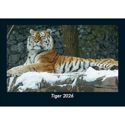Becker Tiger 2026 Fotokalender DIN A5: Monatskalender mit Bild-Motiven von Haustieren, Bauernhof, wilden Tieren und Raubtieren Becker Tiger 2026 Fotokalender DIN A5: Monatskalender mit Bild-Motiven von Haustieren, Bauernhof, wilden Tieren und Raubtieren