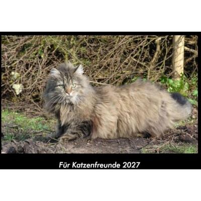 Becker Für Katzenfreunde 2027 Fotokalender DIN A3: Monatskalender mit Bild-Motiven von Haustieren, Bauernhof, wilden Tieren und Raubtieren Becker Für Katzenfreunde 2027 Fotokalender DIN A3: Monatskalender mit Bild-Motiven von Haustieren, Bauernhof, wilden Tieren und Raubtieren