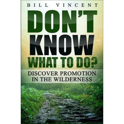 Vincent Don't Know What to Do?: Discover Promotion in the Wilderness Vincent Don't Know What to Do?: Discover Promotion in the Wilderness