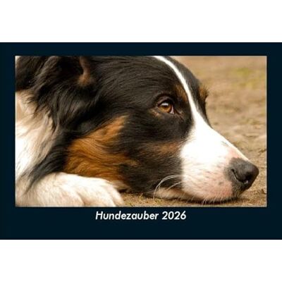 Becker Hundezauber 2026 Fotokalender DIN A5: Monatskalender mit Bild-Motiven von Haustieren, Bauernhof, wilden Tieren und Raubtieren Becker Hundezauber 2026 Fotokalender DIN A5: Monatskalender mit Bild-Motiven von Haustieren, Bauernhof, wilden Tieren und Raubtieren
