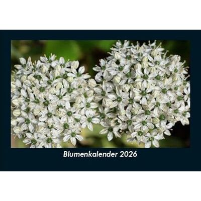 Becker Blumenkalender 2026 Fotokalender DIN A5: Monatskalender mit Bild-Motiven aus Fauna und Flora, Natur, Blumen und Pflanzen Becker Blumenkalender 2026 Fotokalender DIN A5: Monatskalender mit Bild-Motiven aus Fauna und Flora, Natur, Blumen und Pflanzen