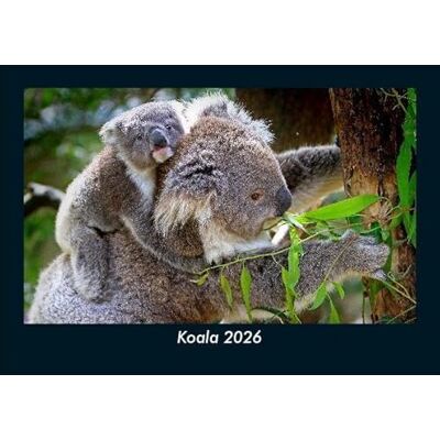 Becker Koala 2026 Fotokalender DIN A5: Monatskalender mit Bild-Motiven von Haustieren, Bauernhof, wilden Tieren und Raubtieren Becker Koala 2026 Fotokalender DIN A5: Monatskalender mit Bild-Motiven von Haustieren, Bauernhof, wilden Tieren und Raubtieren