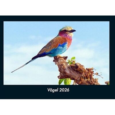 Becker Vögel 2026 Fotokalender DIN A4: Monatskalender mit Bild-Motiven von Haustieren, Bauernhof, wilden Tieren und Raubtieren Becker Vögel 2026 Fotokalender DIN A4: Monatskalender mit Bild-Motiven von Haustieren, Bauernhof, wilden Tieren und Raubtieren
