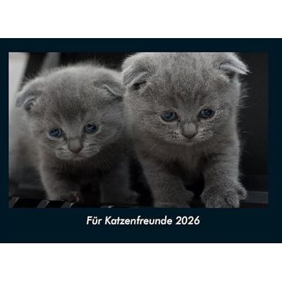 Becker Für Katzenfreunde 2026 Fotokalender DIN A4: Monatskalender mit Bild-Motiven von Haustieren, Bauernhof, wilden Tieren und Raubtieren Becker Für Katzenfreunde 2026 Fotokalender DIN A4: Monatskalender mit Bild-Motiven von Haustieren, Bauernhof, wilden Tieren und Raubtieren