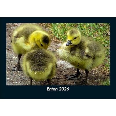 Becker Enten 2026 Fotokalender DIN A5: Monatskalender mit Bild-Motiven von Haustieren, Bauernhof, wilden Tieren und Raubtieren Becker Enten 2026 Fotokalender DIN A5: Monatskalender mit Bild-Motiven von Haustieren, Bauernhof, wilden Tieren und Raubtieren