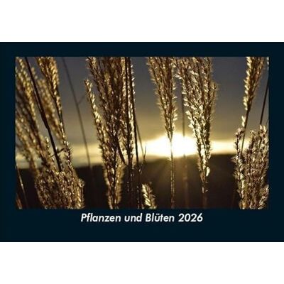 Becker Pflanzen und Blüten 2026 Fotokalender DIN A5: Monatskalender mit Bild-Motiven aus Fauna und Flora, Natur, Blumen und Pflanzen Becker Pflanzen und Blüten 2026 Fotokalender DIN A5: Monatskalender mit Bild-Motiven aus Fauna und Flora, Natur, Blumen und Pflanzen