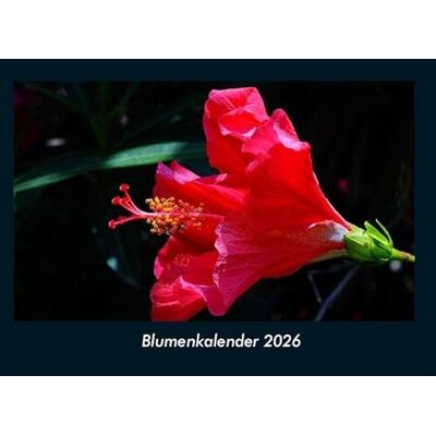 Becker Blumenkalender 2026 Fotokalender DIN A4: Monatskalender mit Bild-Motiven aus Fauna und Flora, Natur, Blumen und Pflanzen Becker Blumenkalender 2026 Fotokalender DIN A4: Monatskalender mit Bild-Motiven aus Fauna und Flora, Natur, Blumen und Pflanzen