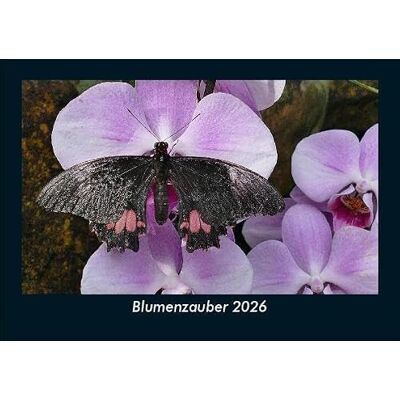 Becker Blumenzauber 2026 Fotokalender DIN A5: Monatskalender mit Bild-Motiven aus Fauna und Flora, Natur, Blumen und Pflanzen Becker Blumenzauber 2026 Fotokalender DIN A5: Monatskalender mit Bild-Motiven aus Fauna und Flora, Natur, Blumen und Pflanzen