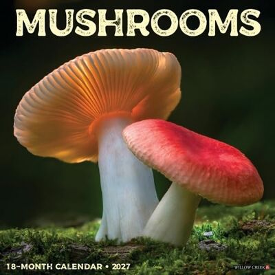 Willow Creek Press Mushrooms 2027 Wall Willow Creek Press Mushrooms 2027 Wall
