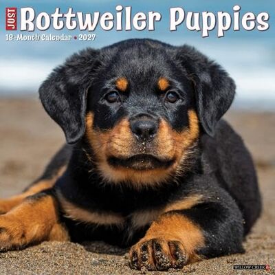 Willow Creek Press Rottweiler Puppies 2027 Wall Willow Creek Press Rottweiler Puppies 2027 Wall