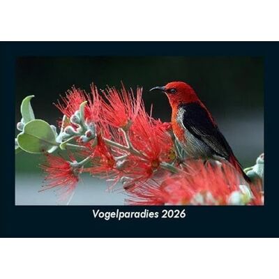 Becker Vogelparadies 2026 Fotokalender DIN A5: Monatskalender mit Bild-Motiven von Haustieren, Bauernhof, wilden Tieren und Raubtieren Becker Vogelparadies 2026 Fotokalender DIN A5: Monatskalender mit Bild-Motiven von Haustieren, Bauernhof, wilden Tieren und Raubtieren