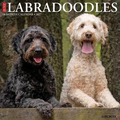 Willow Creek Press Labradoodles 2027 Wall Willow Creek Press Labradoodles 2027 Wall