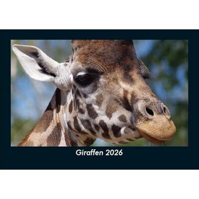Becker Giraffen 2026 Fotokalender DIN A5: Monatskalender mit Bild-Motiven von Haustieren, Bauernhof, wilden Tieren und Raubtieren Becker Giraffen 2026 Fotokalender DIN A5: Monatskalender mit Bild-Motiven von Haustieren, Bauernhof, wilden Tieren und Raubtieren